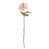 Rose clair est en rupture de stock