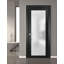 Porte standard en verre givré Planum-53141903-49254562