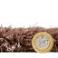 Olympia area rug Machine Woven Rectangle Beige-100511882