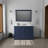 Dukes 48" Single Bathroom Vanity Set-87292621-112870111