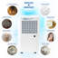 NETTA 12L Compact Dehumidifier