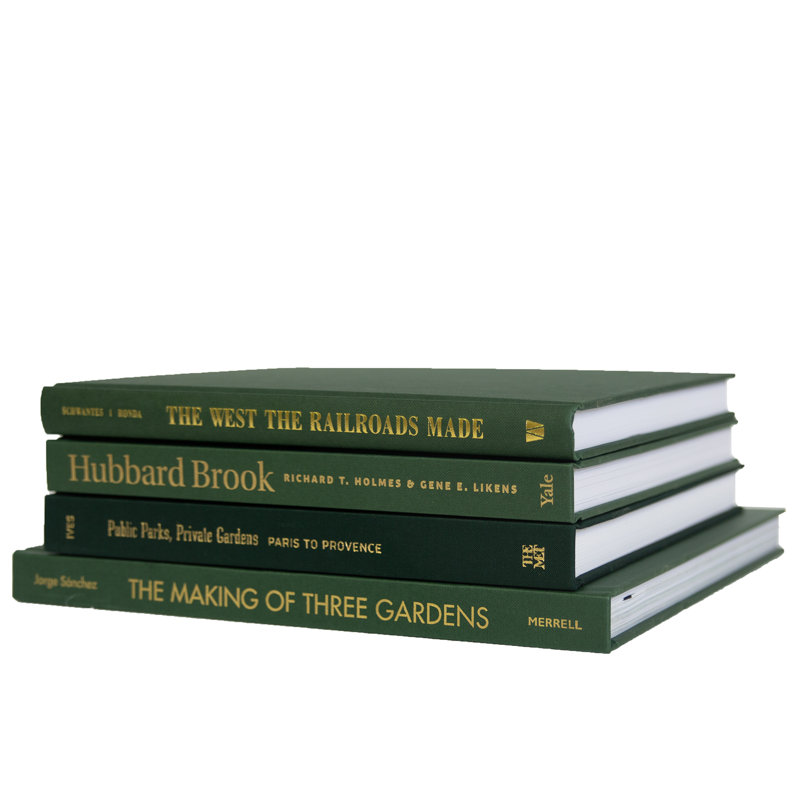 Ruken 4-Piece Modern and Contemporary Decorative Books