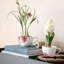 Rose Garden Coffee Cup