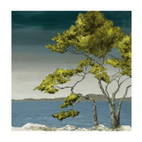 From Island I Print by Sara Brown