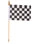 Everrs Double Sided 6 in. W Polyester House Flag