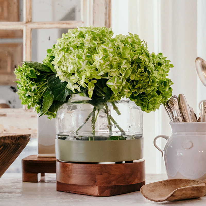 3-in-1 Glass Bloom Vase, Vineyard