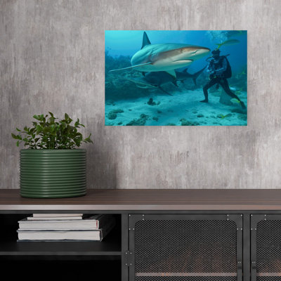 Underwater Shark Encounter Contemporary Fish Shark Ocean Tropical Wall Art Print