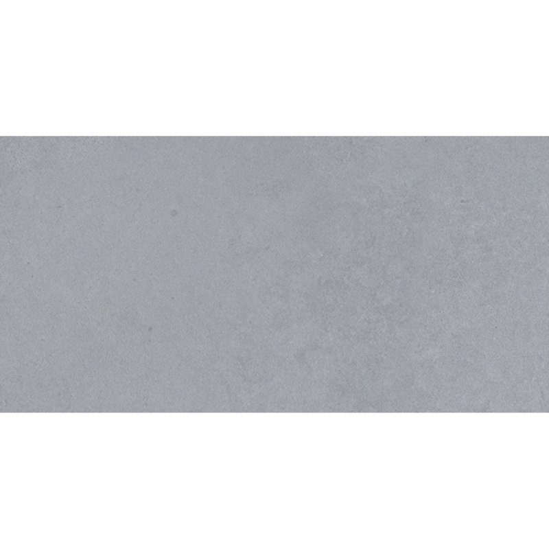 Carreau de mur et de plancher en béton 12 po x 24 po Element