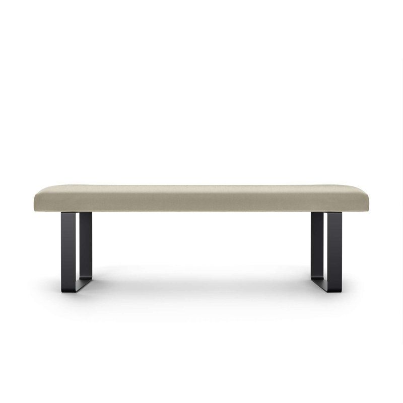 Naquaria Upholstered Bench, Cream/Black