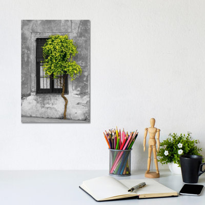 Panoramic Images - Print on Canvas