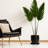 Pot Planter-1251128337-1251128348