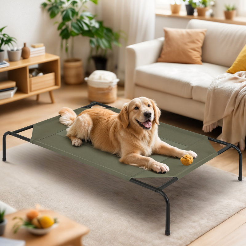 Portable Elevated Pet Bed Dog Cot Bed With Removable Bolster, Extra Small (35.5" W x 25.5" D x 7.5" H), Dark Green
