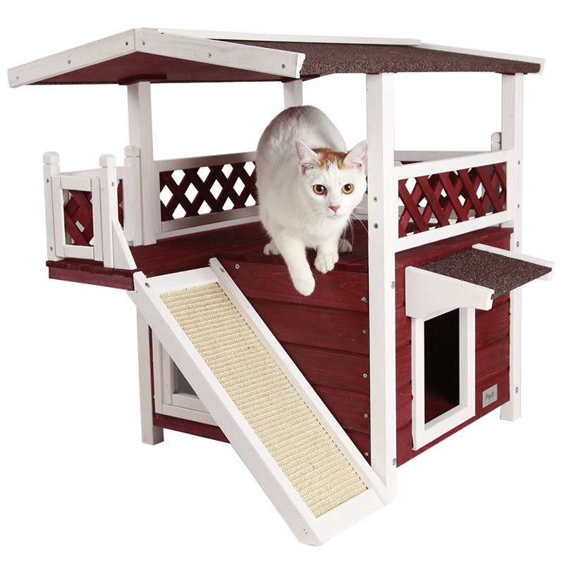 Top wayfair outdoor cat house New Arrivals