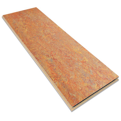 Marmoleum Cinch Loc Seal 11.81” x 35.43” x 9.8mm Flooring