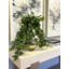 Jenner Faux Ivy Plant in Glass Vase