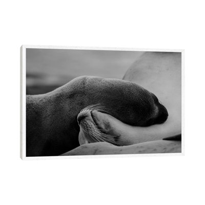 Sleeping Beauty 1 Piece Wall Art on Canvas