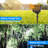 Gunder 200 - Bulb 288'' Solar Powered LED Fairy String Light