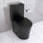 Elongated One Piece Toilet Dual Flush 1.1/1.6 Gpf Water Saving Comfort Seat Height, Map 1000G-113461322