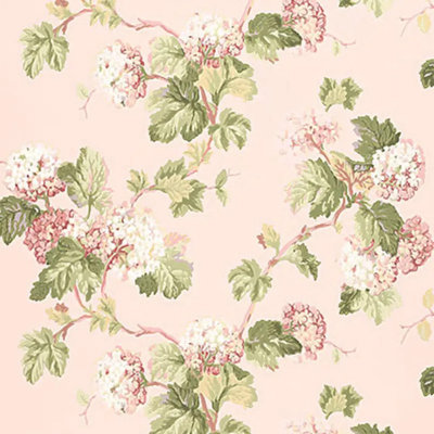 Viburnum Wallpaper