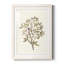 «Twig Study II», impression encadrée-1326240120-1326240116