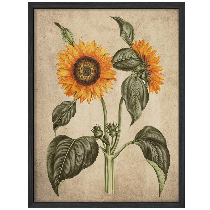 "Tournesols, œuvre d'art rustique, affiches encadrées, petit art mural", Noir, H 14 po x l 11 po