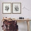 Ensemble de 2 toiles flottantes encadrées antiques-908858578-908858581