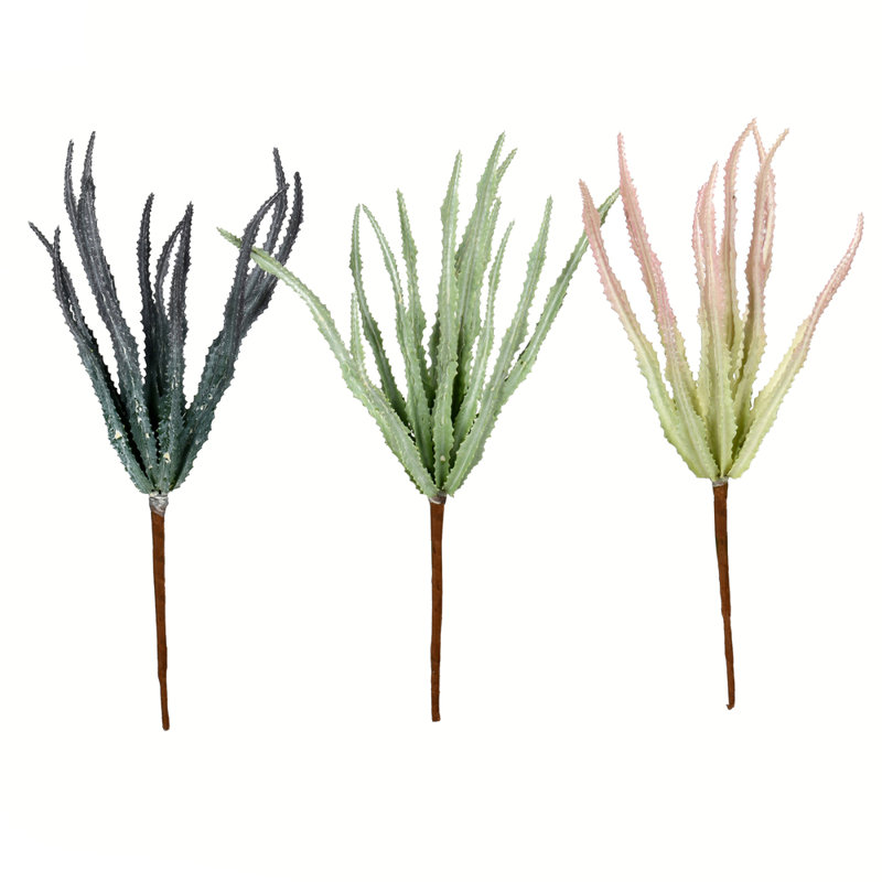 Vaporisateur artificiel Haworthia