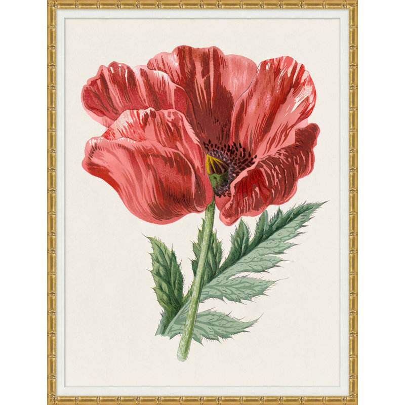 Rubis floral 1 - Peinture sur papier avec cadre photo