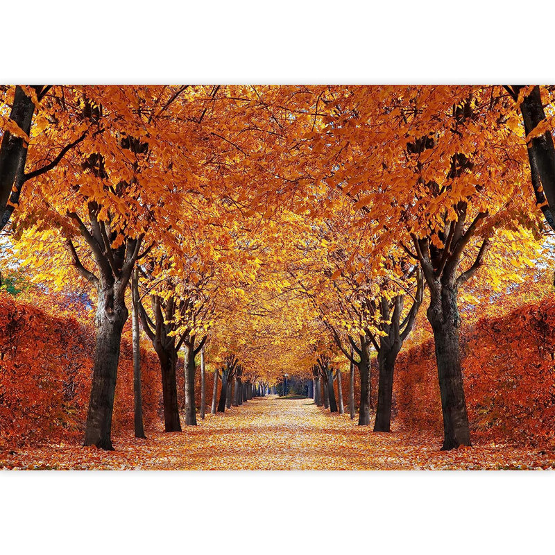 Forest Nature Landscape Peel & Stick Border, 100" L x 144" W