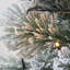 Lighted Artificial Fir Christmas Tree