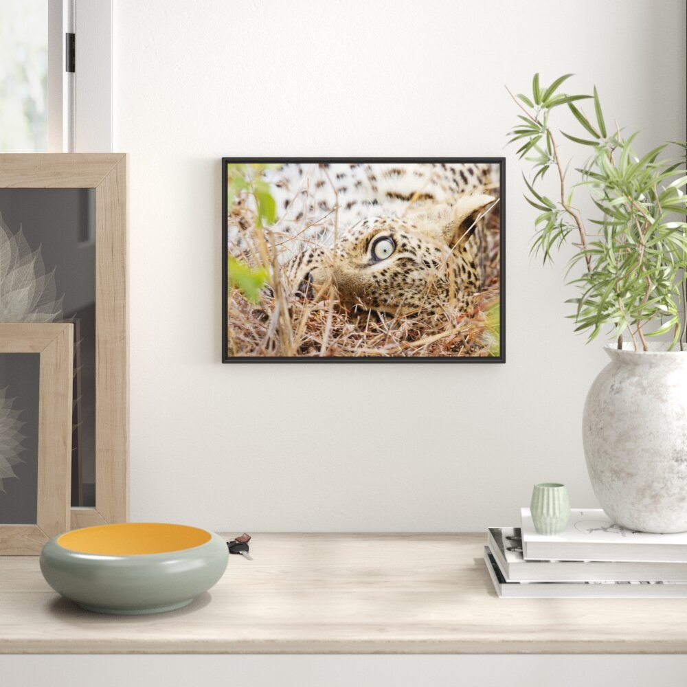 Gerahmtes Wandbild Leopard