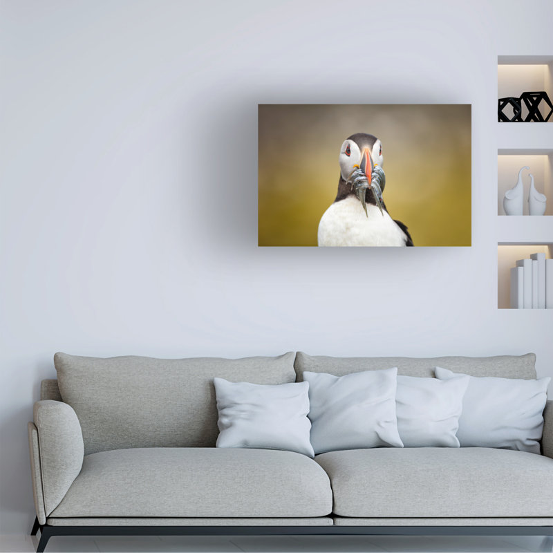 Art sur toile «ologic bolologia », H 12 po x l 19 po