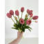 5 vraies tulipes artificielles-1088954040