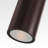 Raley 2- Bulb Outdoor Wall Lantern-676243747-770472318