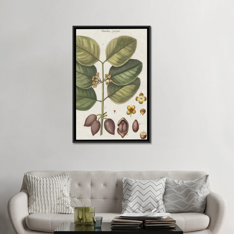 « exotic botanique ii », reproduction d’impression sur toile tendue, H 26 po x l 18 po x P 1,5 po, Toile avec cadre noir