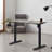 Jeetram Adjustable Height Steel Standing Desk-2139447664