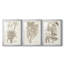 Sépia plantes exotiques IV - reproduction sur mesure encadrée de qualité supérieure - 3 pièces-1838284240-1838284241