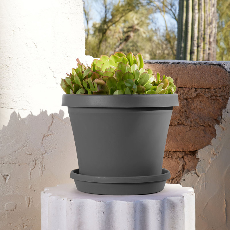 Oriello Pot Planter