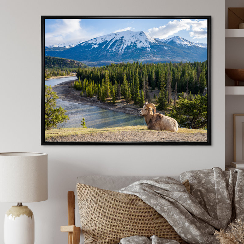 Faune sauvage, paysage de l'Alaska II, H 34 po x l 44 po x P 1,5 po, Cadre flottant noir