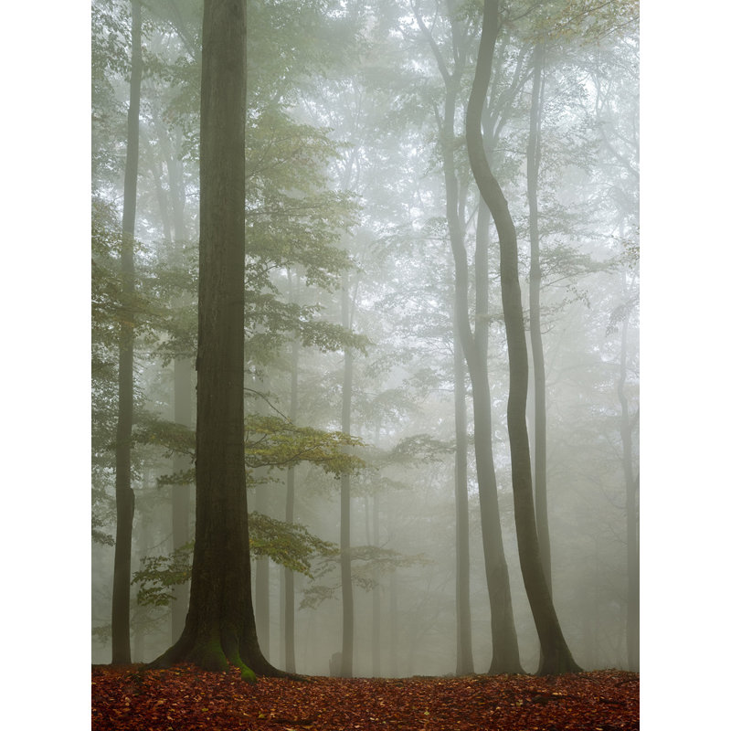 Wrapped Canvas Print, 91.44 cm H x 60.96 cm W