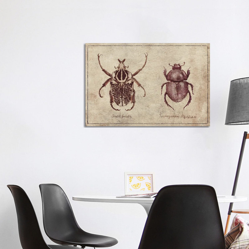 Ornate Goliath- Trichogomphus Martabani 2 by Mike Koubou - Wrapped Canvas Print, 101.6 cm H x 66.04 cm W x 3.175 cm D