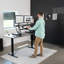 Convertisseur de bureau debout 42 "DESK-V000VL Series-93590827