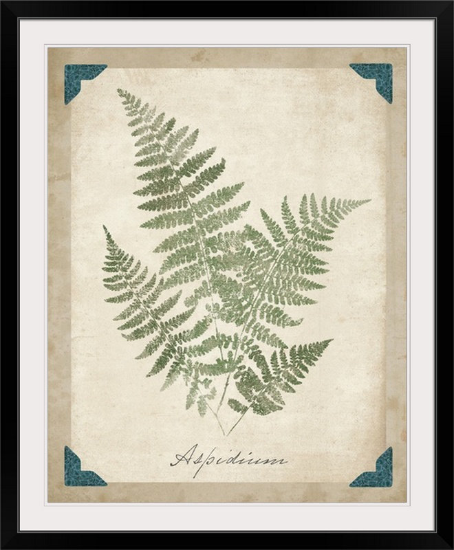 « ix », impression Vintage Ferns, Cadre noir, H 28 po x l 24 po x P 1 po