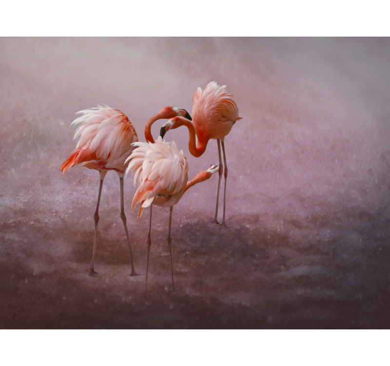 Wrapped Canvas Print, 50.8 cm H x 76.2 cm W