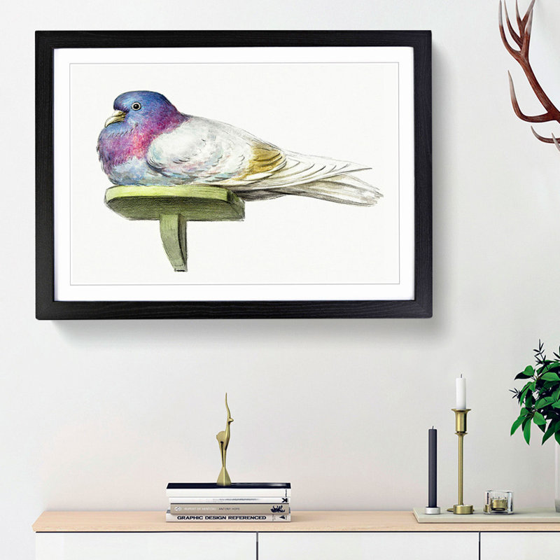 Pigeon by Jean Bernard - Picture Frame Painting Print, 36cm H x 48cm W x 2cm D, Black Framed