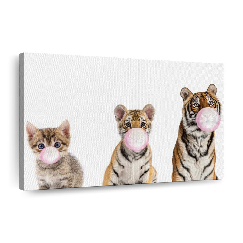 Bubble Gum Tigers sur toile, H 8 po x l 12 po x P 1 po