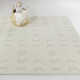 Paolucci Gray Rug