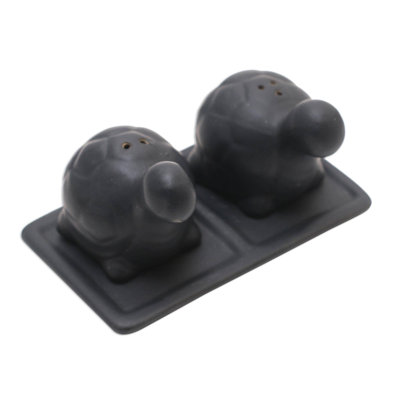 Ensemble salière et poivrière Kalup Tortoise Friends
