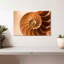 Coque Aletra Nautilus à l'intérieur-107680918