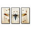 «Beige and Yellow Moth Blueprint - Insectes & Bugs», art mural-151941970-151941968